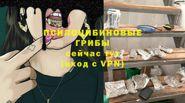 альфа пвп Алексеевка
